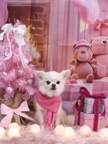 20241205りゅうくん